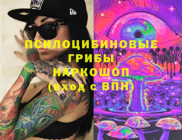 кокс Белокуриха
