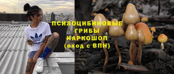 кокс Белокуриха